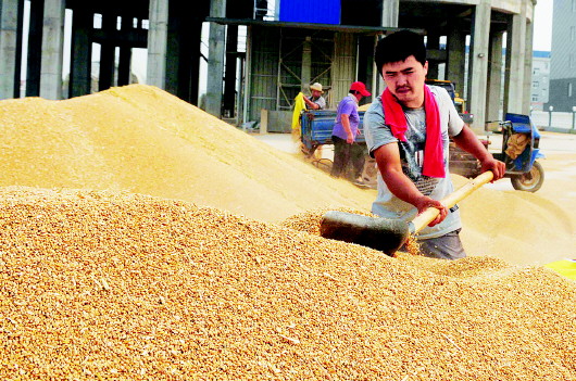 金堤粮食银行